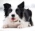 f75a910015db96023871f3132eb6df9e.jpg